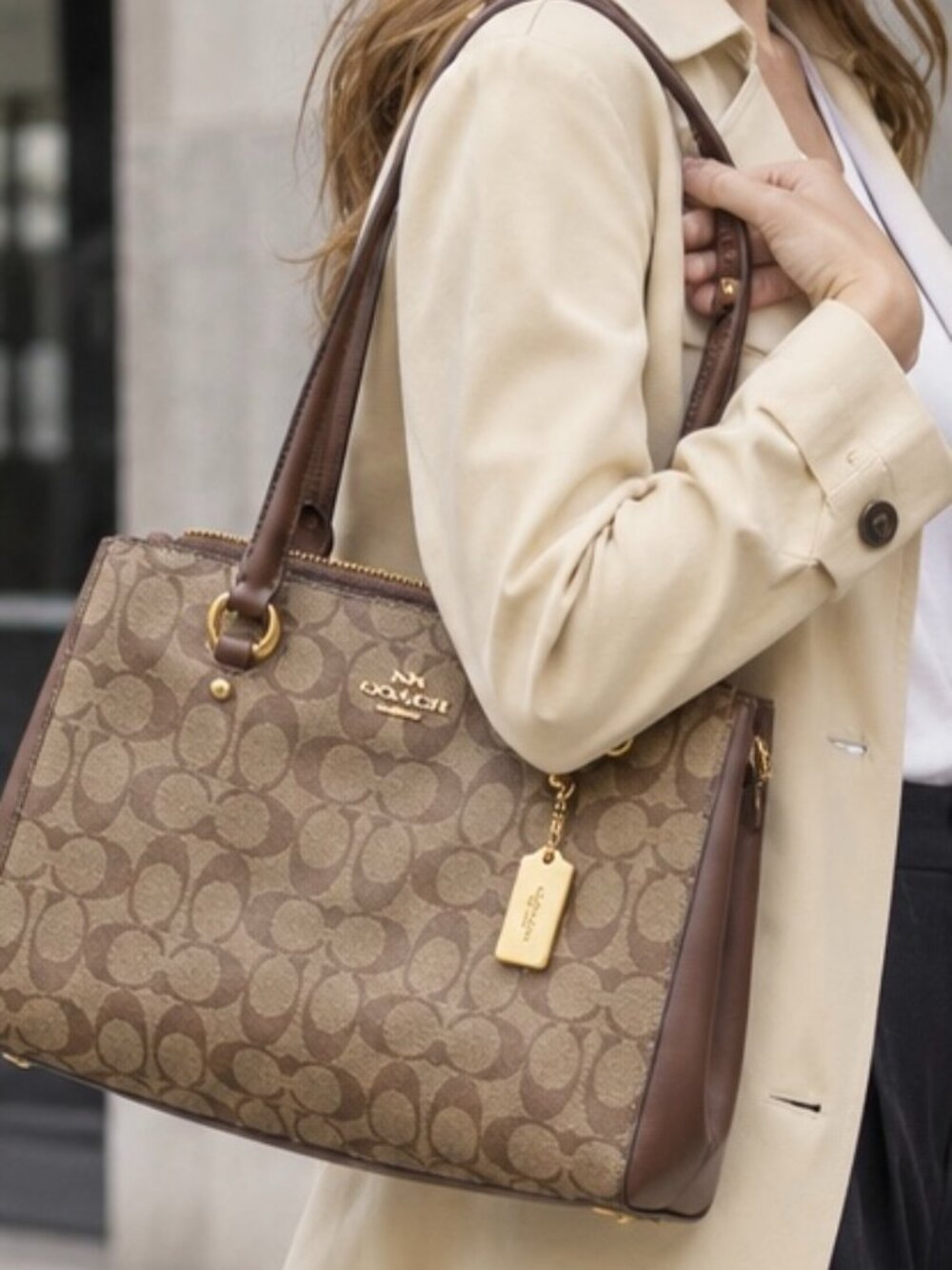 Coach F77881 Etta Carryall Signature Canvas Brown Gold Shoulder Bag